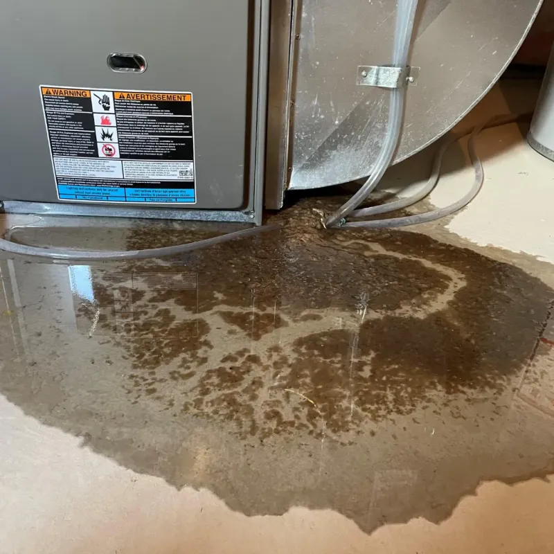 Appliance Leak Cleanup in Walnut Creek, CA